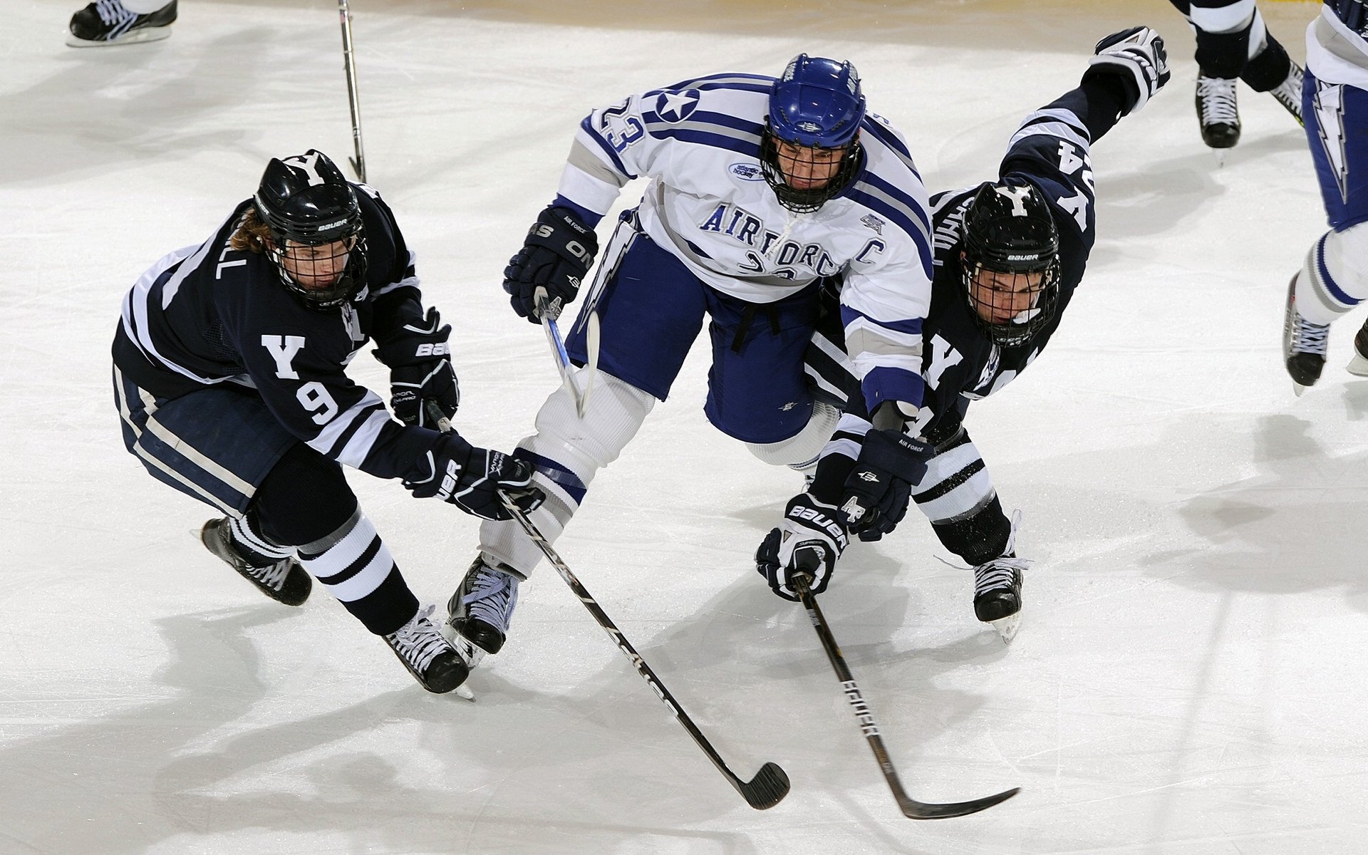 柏林赫塔助教集训青训队,重塑未来,柏林赫塔保级成功
